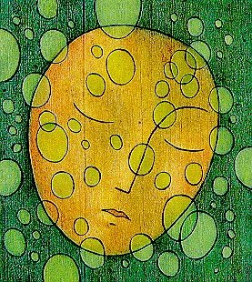 Menopausia y salud. Pautas de nutriciÃ³n ortomolecular