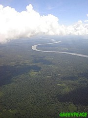 amazonas2.jpg