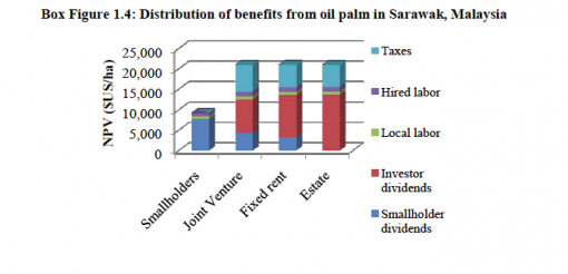 oil_palm.png