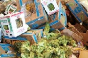 El informe de la FAO sobre pÃ©rdida y desperdicio de alimentos, otro revÃ©s para los neomalthusianos y su demagÃ³gica ‘superpoblaciÃ³n’ mundial