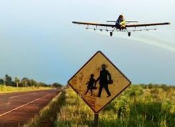 AgrotÃ³xicos fumigados en nordeste argentino; efectos del endosulfÃ¡n en la salud