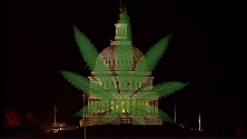 legalizacion-cannabis.jpg