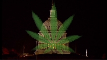 legalizacion-cannabis.jpg