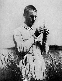 lysenko_in_field_with_wheat.jpg