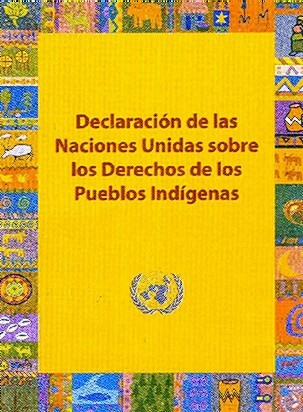 DeclaraciÃ³n de las Naciones Unidas sobre los Derechos de los Pueblos IndÃ­genas